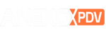 Anexo PDV
